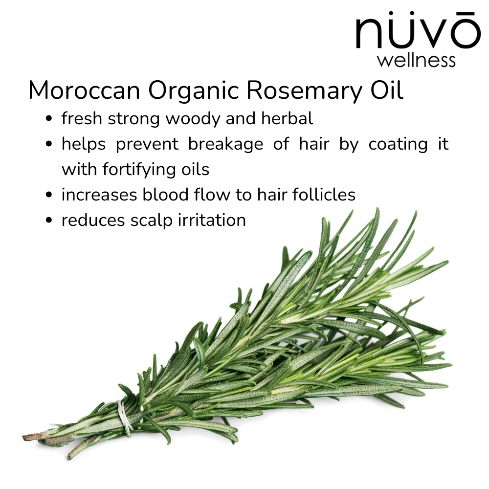 Rosemary Blended Oil for Hair Growth