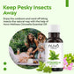 citronella-essential-oil-30ml.jpg